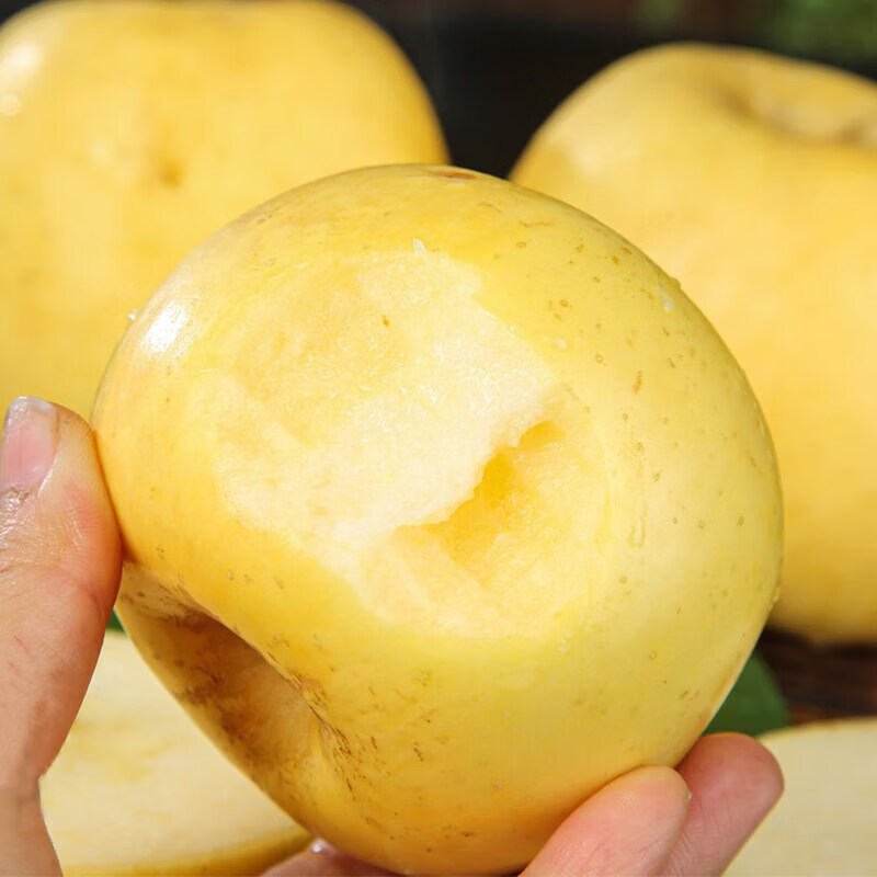Authentic Shandong Yantai Creamy Fuji Apple Crispy, Sweet and Juicy 2kg 60-90mm