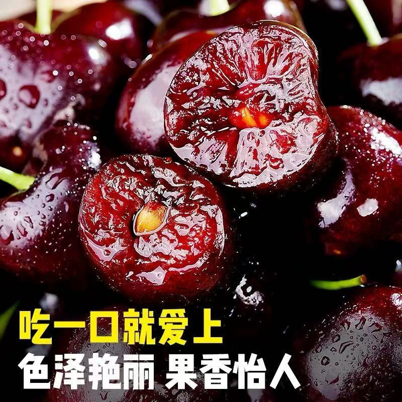 Guoxuan Chilean cherries JD - next-day delivery in many places Imported cherry fruit gift box for New Year gifts for parents 5 pounds (net weight) The most cost-effective Sharing gift box Luxury level Solid and crisp 4J Golden Diamond Fruit King 32-34mm