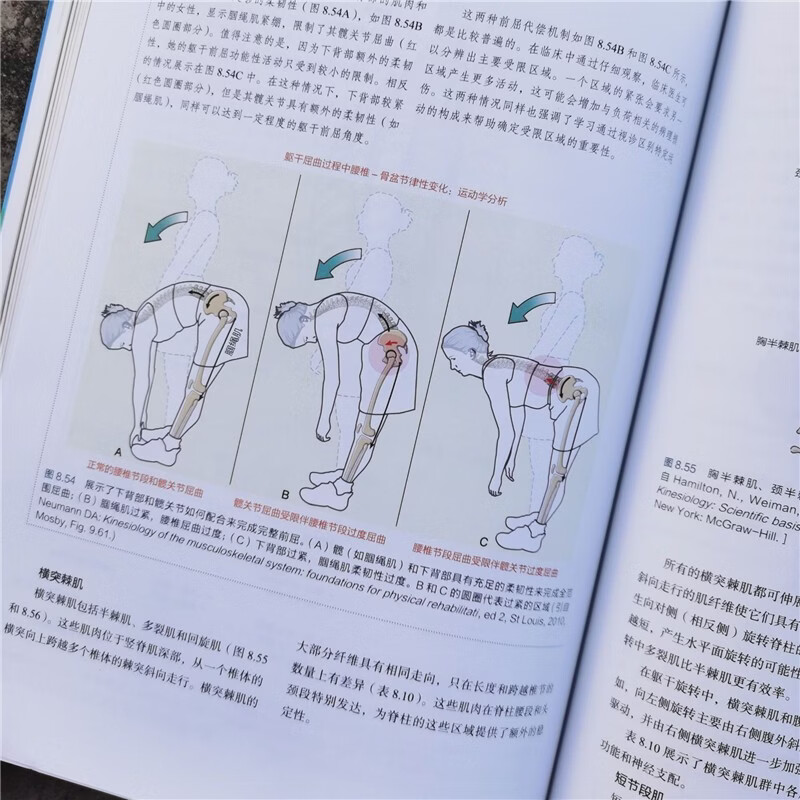 Basic Kinesiology (4th Edition) Rehabilitation Medicine Reference Textbook Introduction to Physical Therapy Beijing Science and Technology