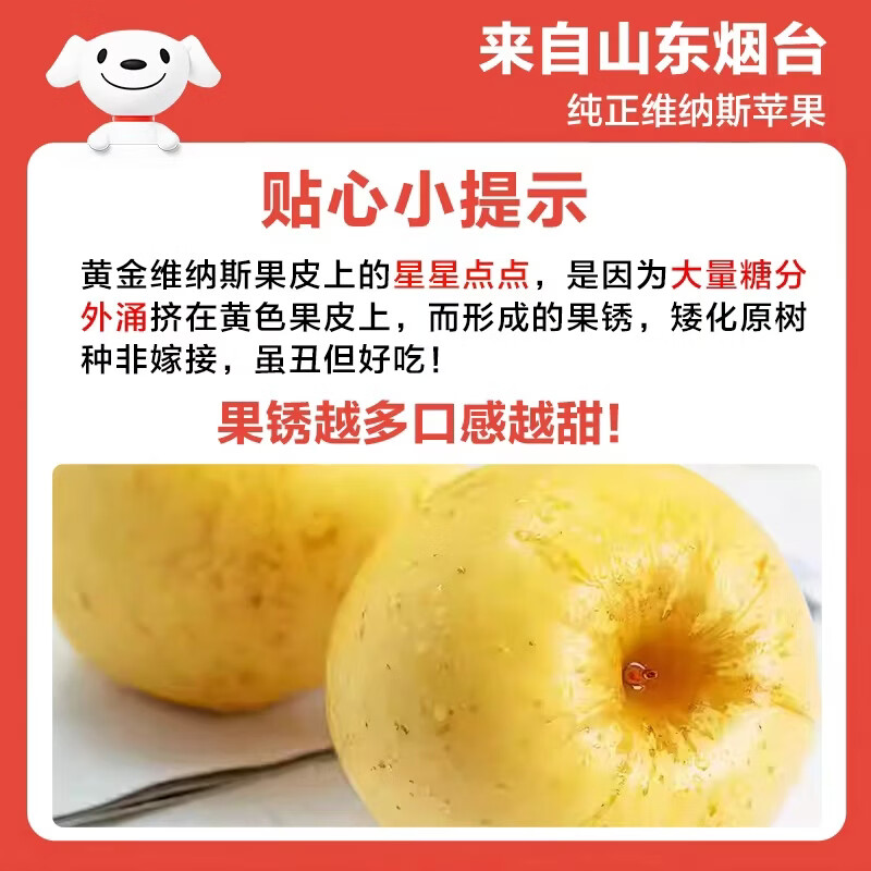 Jingxiansheng Shandong Venus apple net weight 4.5 catties single fruit 140g fresh fruit direct from the source with free shipping