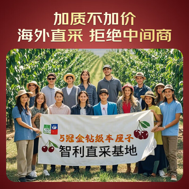 Tian Shiji Chilean cherries JD - next-day delivery in many places, fresh Santina and other fruits and cherries in a New Year gift box, 5 pounds (net weight), selected gift box, selected fruit gifts, highly recommended, Big Mac, 3J grade 30-32mm丨Extra large and super sweet