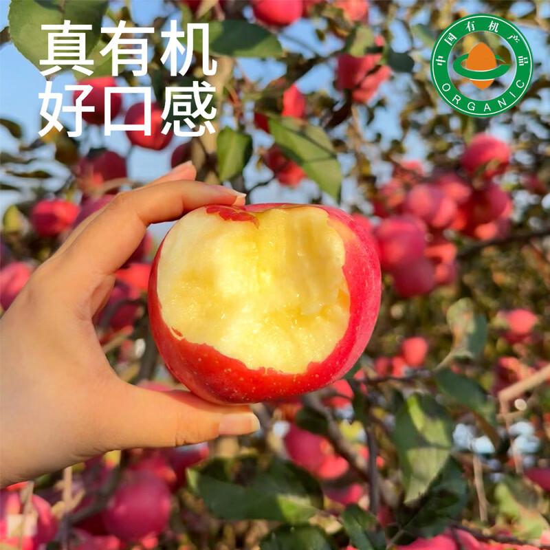 SF Organic Apple Yantai Crisp Sweet Snow Fuji Apple Healthy Pesticide-Free Organic Fruit 4kg 75mm