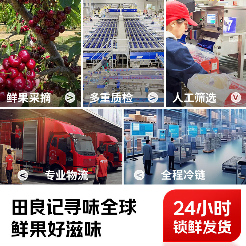 Tian Liangji Golden Diamond Grade Cherries JD - next-day delivery in many places. Domestic Dalian Meizao large cherries fresh fruit gift 5 pounds (net weight). The first choice for stocking up. Gift box | The most cost-effective Big Mac. 3JJJ grade. Single fruit 30-32mm (80% of the candidates)