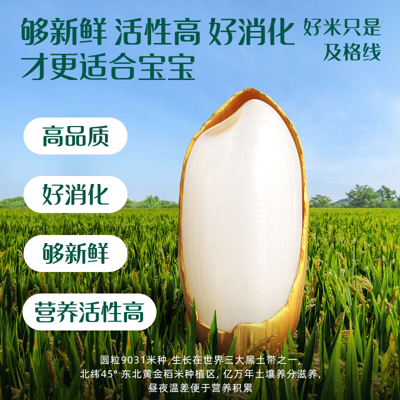 Ying's Beef, Broccoli, Corn and Zinc Rice Noodles 180g boxed sachet fresh-keeping infant food supplement 10 months +