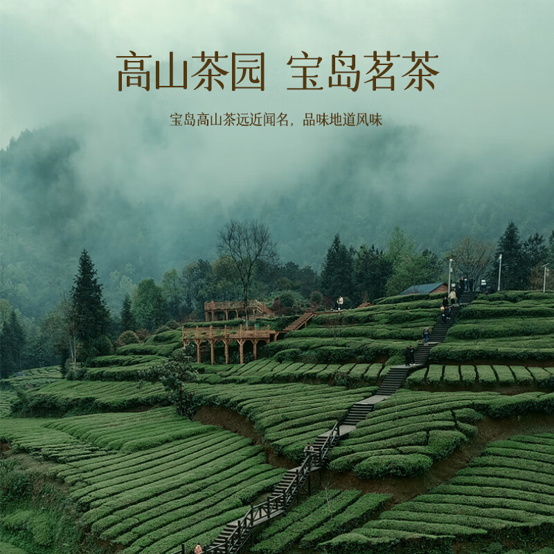 Jingshiyue Specialty Alpine Frozen Top Oolong Tea Gift Box for Yourself to Drink Yuling High Cold Green Tea for Mid-Autumn Festival to Elders Taiwan Alishan Natural Milk Fragrance Gift Box 15 300g