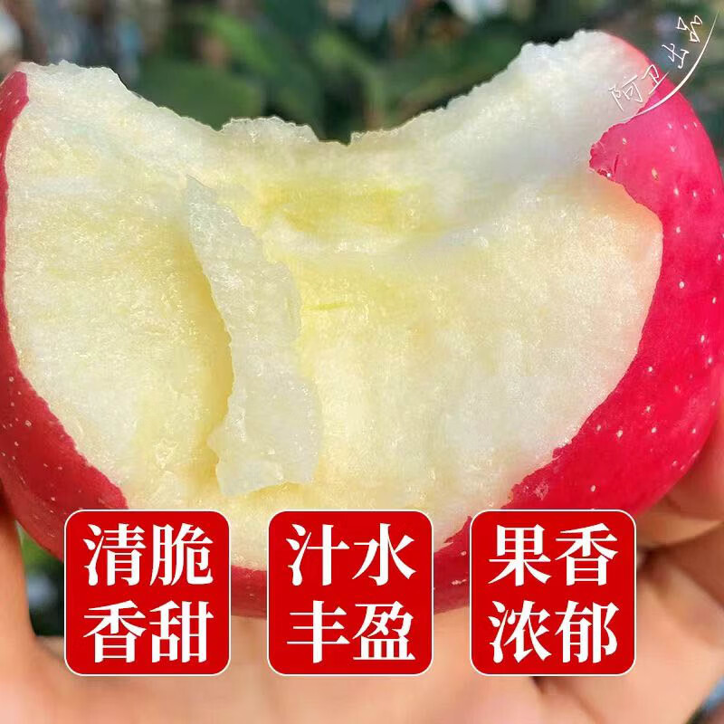 SF Organic Apple Yantai Crisp Sweet Snow Fuji Apple Healthy Pesticide-Free Organic Fruit 4kg 75mm