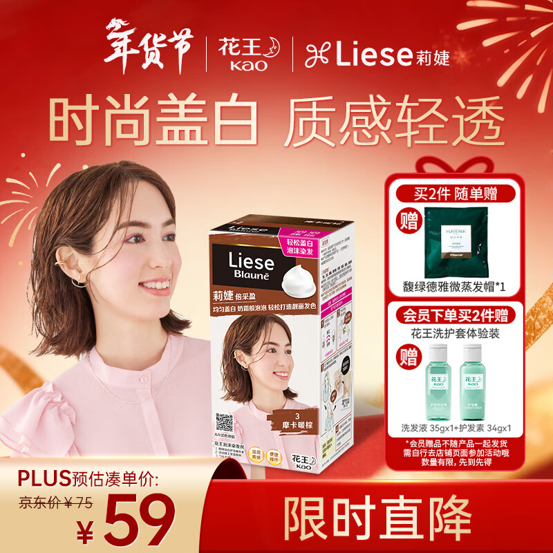 LIESE Foam Hair Dye BAW13 Mocha Warm Brown 108ml Covers white hair re-dyeing at home for both men and women