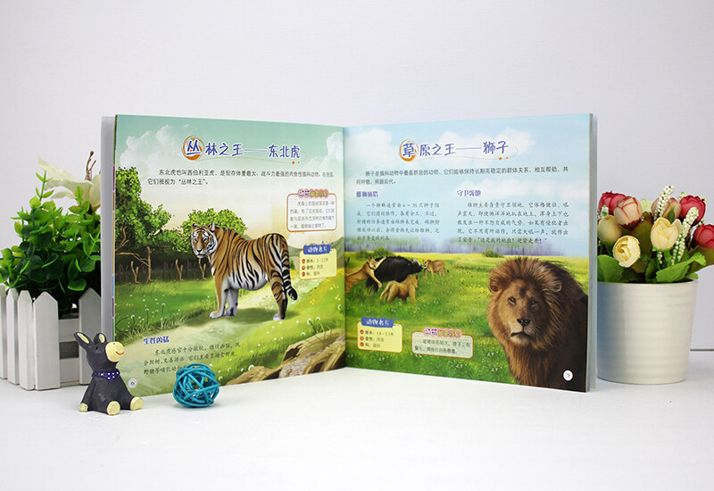 Children's Eyes Know the World Animal World