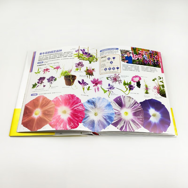 Shogakukan Encyclopedia: The World of Flowers. The cumulative sales volume in Japan exceeds 10 million copies. It is Shogakukan’s treasure. It helps children learn about plants from flowers. Children aged 7 and above and their parents