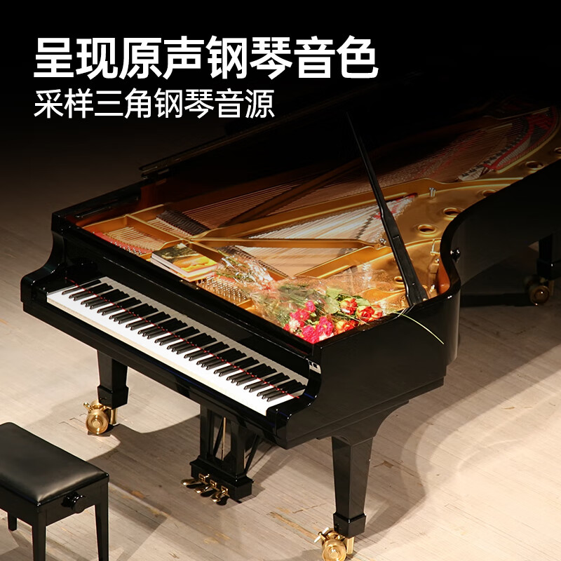 Terrence Electronic Piano 88 Keys Intelligent Folding Piano for Adults and Children X61A/V20 Hand-rolled Piano Keyboard Instrument V20 Sakura Pink + Special Piano Bag