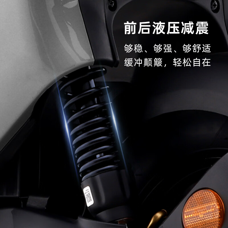 Luyuan Store Pickup F50 Electric Motorcycle Smart Adult Home High-speed Transportation Durable Commuting Electric Vehicle Go to the store to choose the color