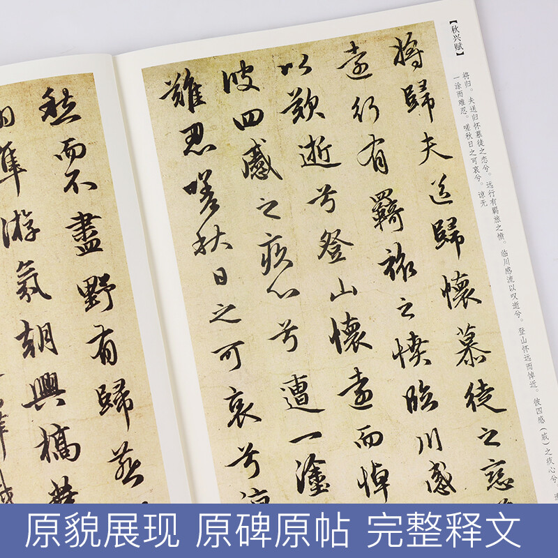 Ink dot copybook, Zhao Mengfu's Luo Shen Fu running script copybook, ink dot high-definition enlargement comparison copy, Zhao Ti Luo Shen Fu thirteen-line stele copybook, beginner's brush calligraphy practice copybook, hard copy Zhao Mengfu's running script copybook