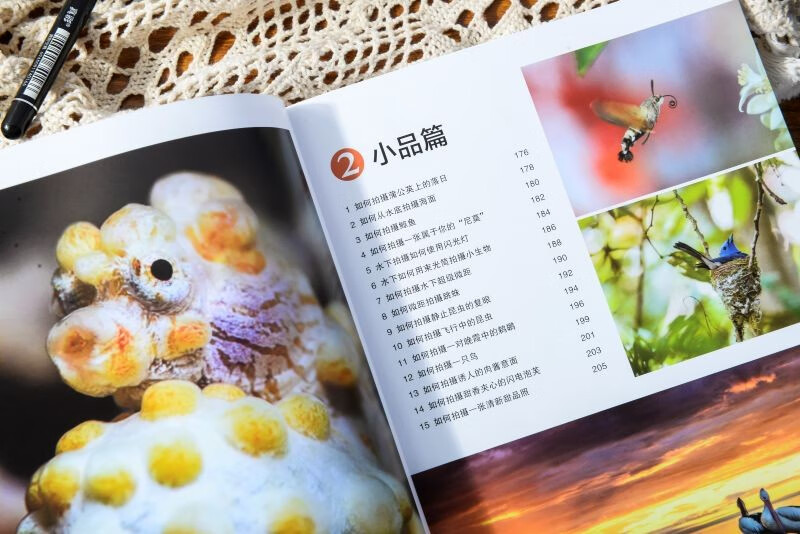 Photography Notes Practical Chapter 68 photos you should be able to take Photography Self-Study Book Practical Case Techniques Characters, Landscapes, Still Life Art Composition, Framing, Lighting Post-processing Produced by Photographers