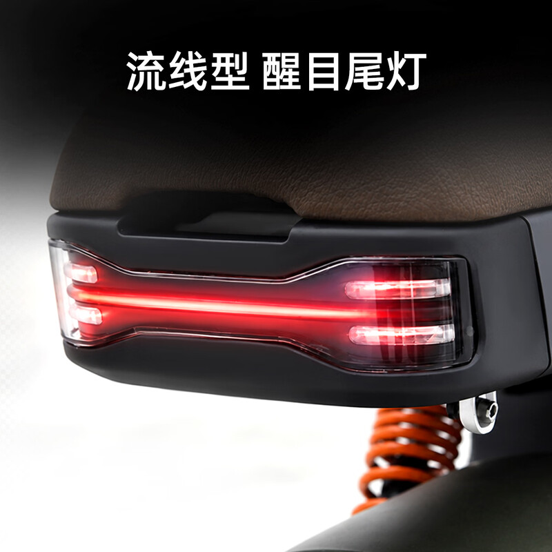Tailing Electric Bike Pickup in Store Chaoying Electric Bike New National Standard Can Be Licensed Battery Long Range Adult Transportation Please Go to the Store to Buy Colors