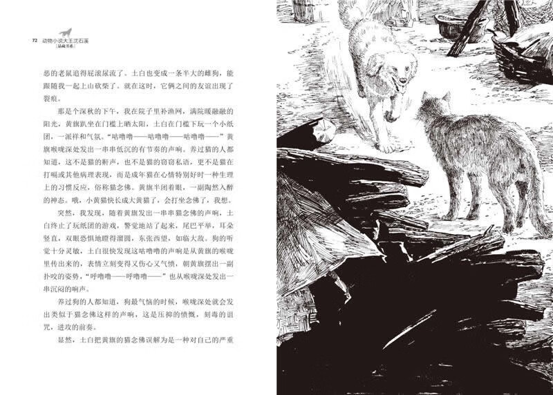 The Way of the Big Fish, upgraded version, animal novel king Shen Shixi's collection of books, children's literature extracurricular books, extracurricular reading, summer reading, extracurricular books