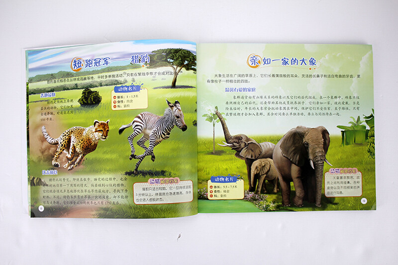 Children's Eyes Know the World Animal World