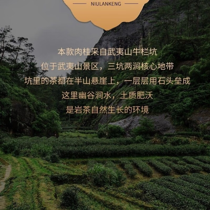 Niulanshan Niulankeng Cinnamon Dahongpao Tea Authentic Wuyi Rock Tea Wuyishan Dahongpao Strong Flavor Oolong Tea Boxed 16g