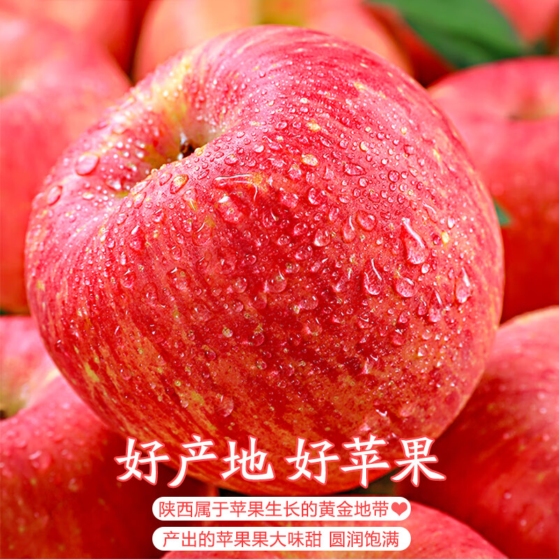 Jingdi Dalochuan apple net weight 7.2 catties single fruit 180g + Shaanxi Red Fuji apple gift box direct from source with free shipping