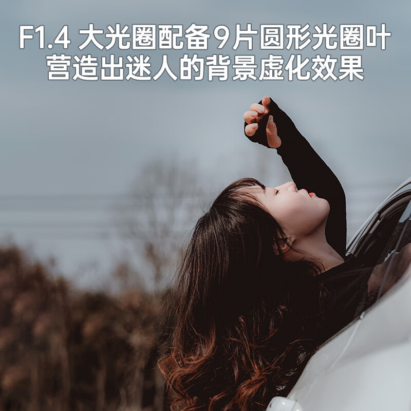 SIGMA 56mm F1.4 DC DN Contemporary half-frame large aperture fixed focus lens portrait close-up (Sigma 56 f1.4 Sony E-mount)