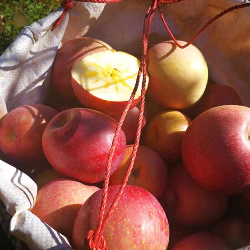 Jingmi Yunnan Zhaotong Chou Apple Net Weight 4.5kg Single Fruit 150g+ Fresh Fruit Raw Rock Candy Heart Straight from the Source