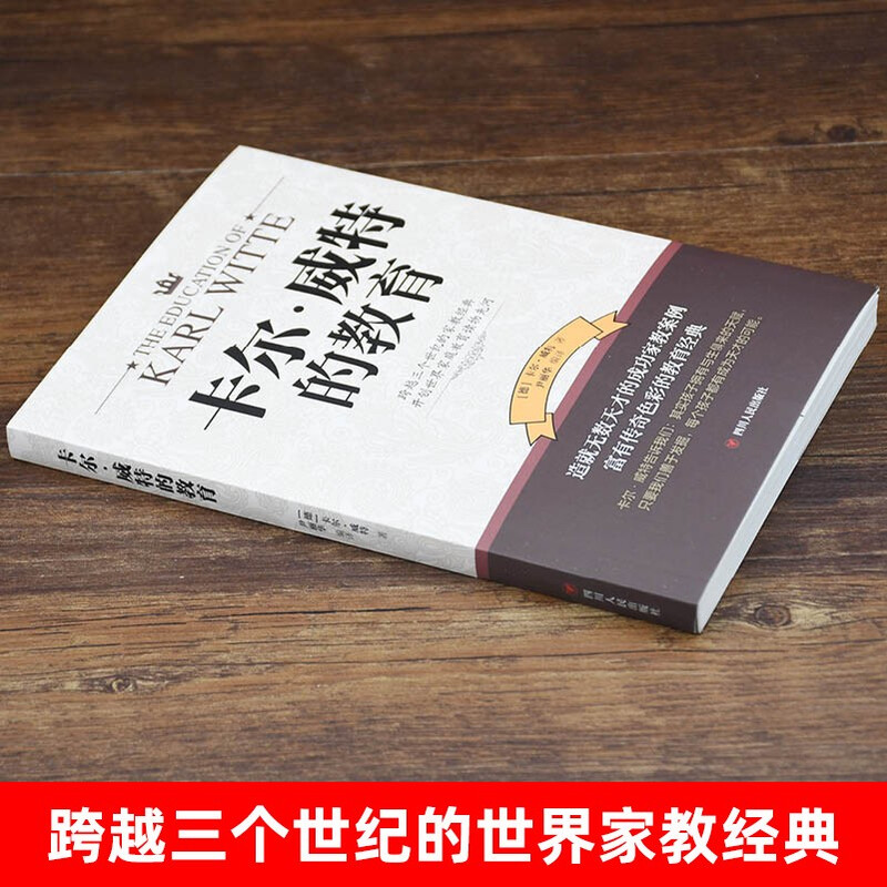 Carl Witte's education