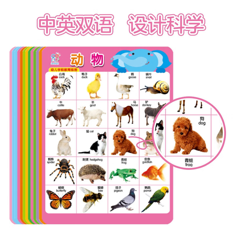 Hairun Sunshine Preschool Education Wall Charts (17 pictures in total) Chinese and English bilingual early education enlightenment toys stickers with animal pinyin vegetables and fruits to recognize numbers extracurricular books extracurricular independent reading holiday reading