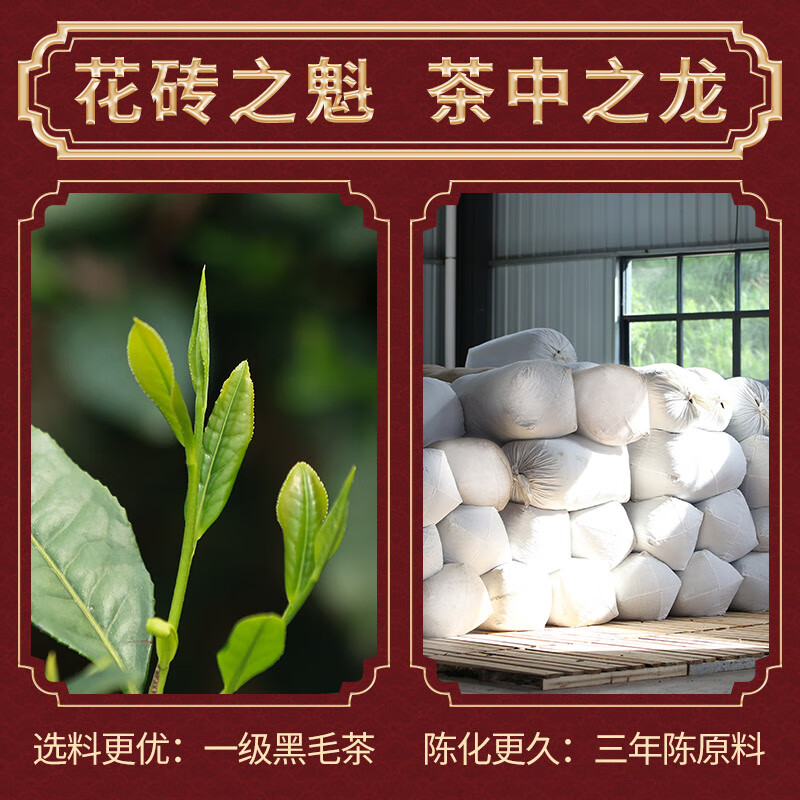 Little Senior Sister’s Tea Review White Sand River Dragon Walk Universiade Dragon Year Zodiac Tile Tea Anhua Black Tea Special Sale Rat One Rat Two