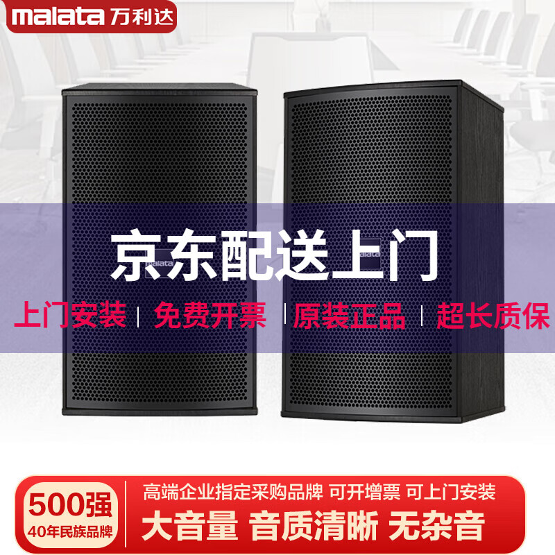 Malata audio set home KTV audio shop stage training room dance studio Bluetooth amplifier microphone speaker 12-inch five-unit audio pair