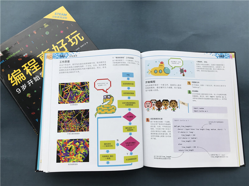 DK programming is so fun. I started learning Python at the age of 9 (Love Tree Children’s Book)