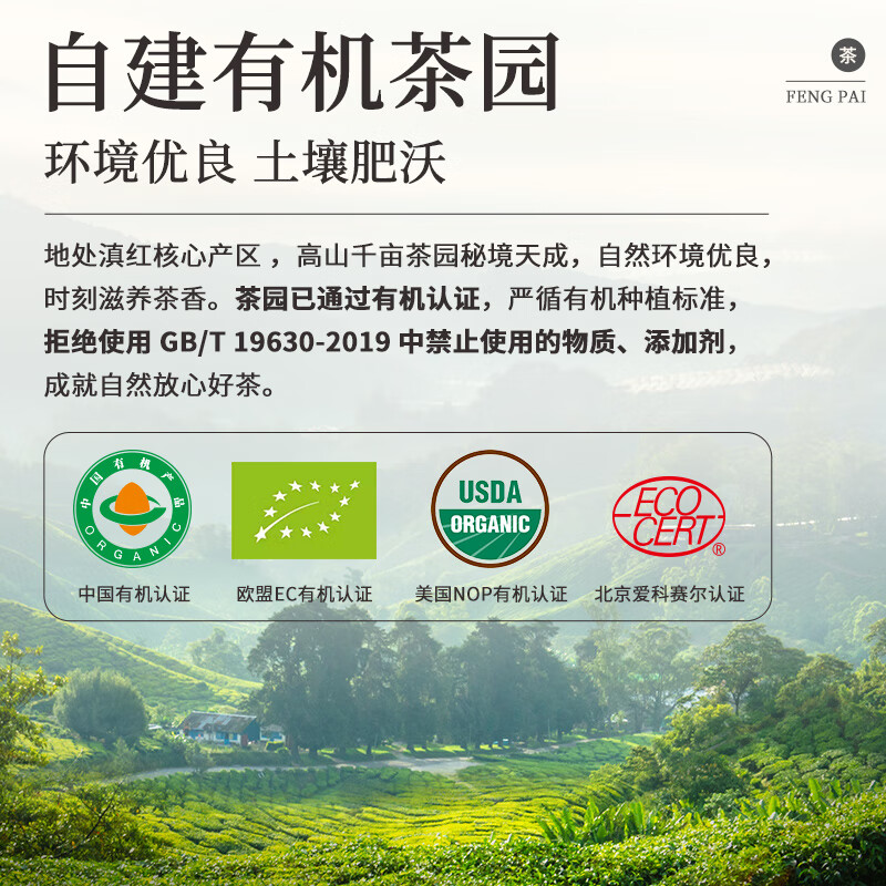 Feng Brand Black Tea Organic Classic 58 Platinum Premium 58 Fengqing Dianhong Special Grade 100g Canned Tea