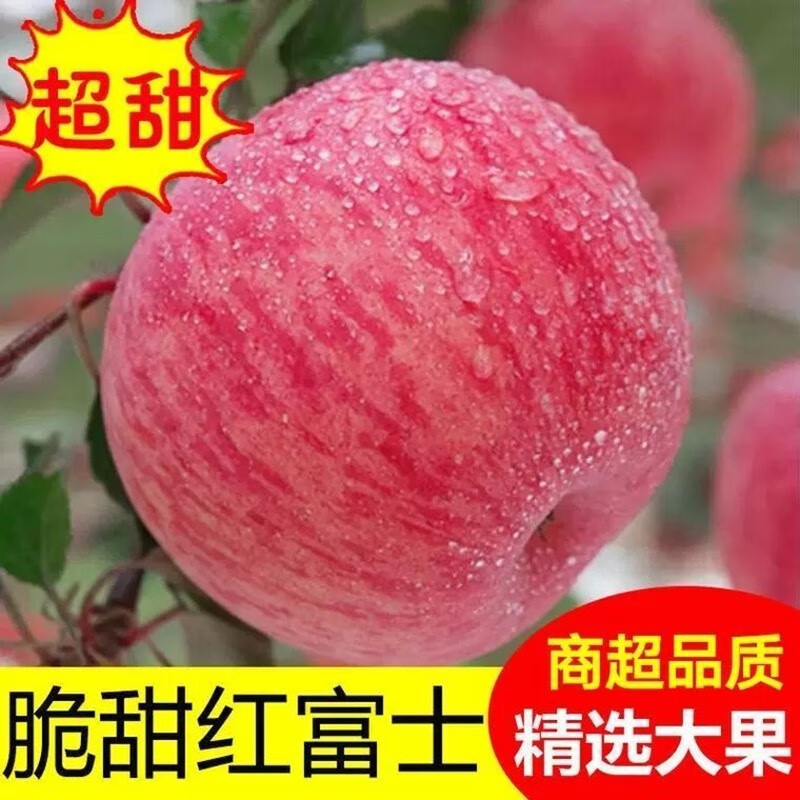 Erdie Shaanxi Red Fuji Apple Fresh Fruit 10kg Rock Candy Heart Seasonal Ugly Apple Seasonal Fruit Crisp Sweet Whole Box Selected 3kg Pack Net Weight 2.8kg 70-75mm