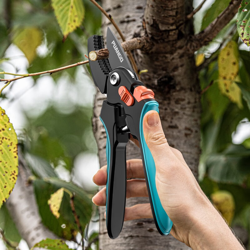 Prund pruning shears, pruning shears, flower branch shears, fruit tree shears, gardening scissors, branch shears, flower tree pruning shears, 9-inch pruning shears, labor-saving shears