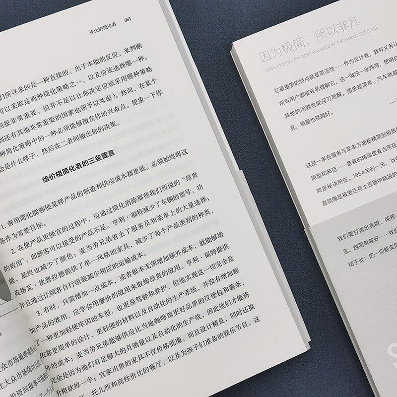 The Rule of Minimalism (sales of one million copies worldwide <80/20>) is a sincere work by the author to help you clarify the business environment and lead your company to stand out.