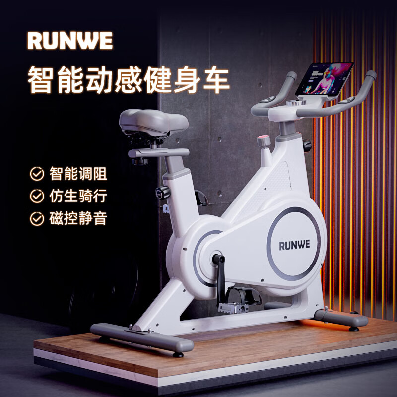 Langwei Spinning Bike Home Fitness Equipment Ultra-Quiet Indoor Sports Bike Magnetic Control Gym Use Ordinary Mechanical Model-Manual Magnetic Control (Elegant White)