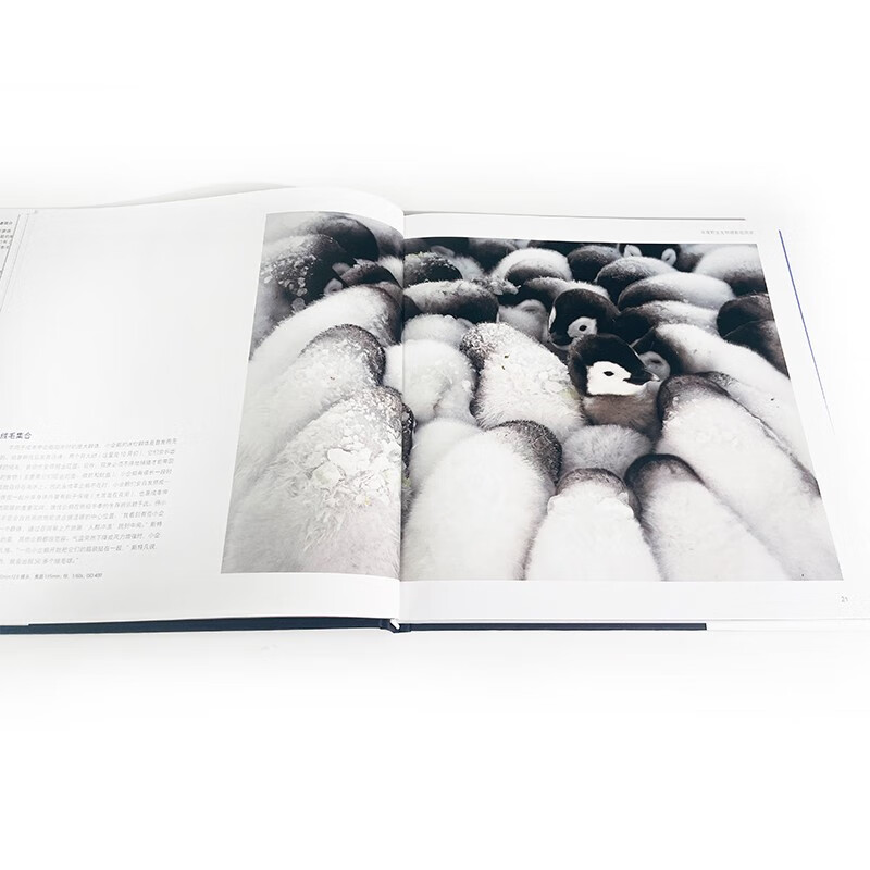 All things are animistic, the winning entries of the 55th International Wildlife Photography Competition