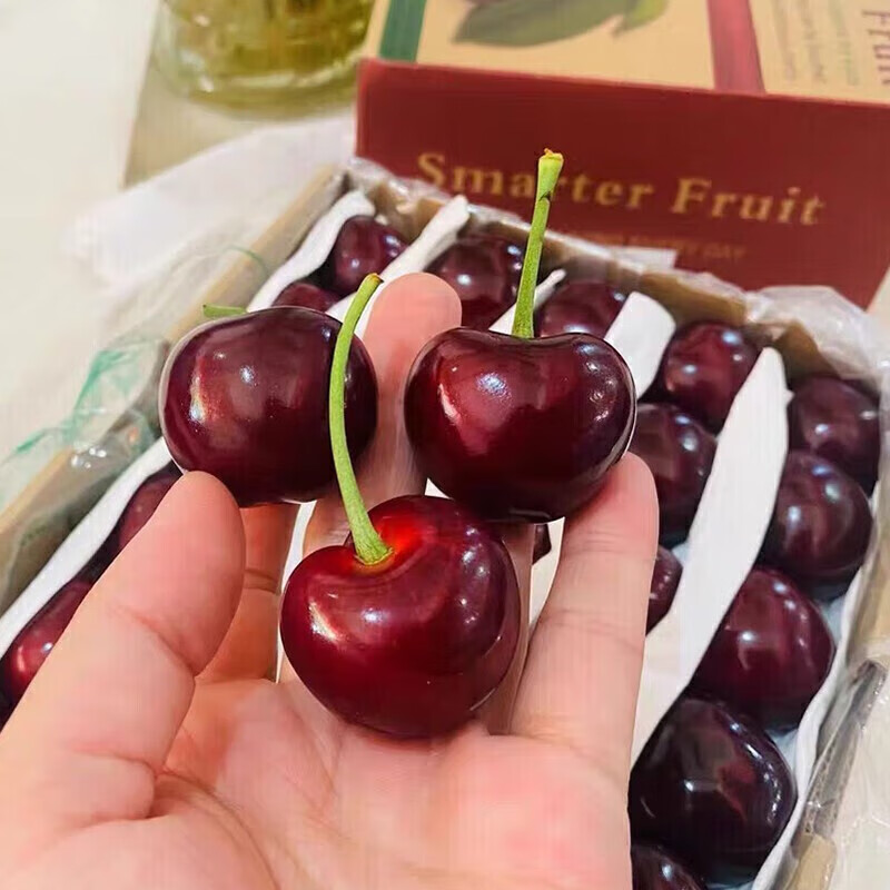 Cherry fresh Chilean imported cherries JD/SF Express next-day delivery to many places New Year's Day gift box 2.5 catties (net weight) gift box very cost-effective Big Mac JJJ 10-12g丨Big and super sweet
