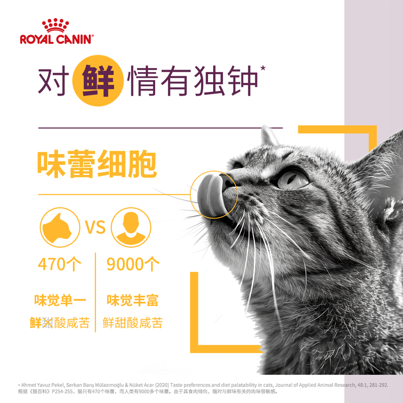 Royal Cat Food Sensory Feast Cat Wet Food - Fragrance Overflowing (Thick Soup Meat) Soft Pack Canned SSGP 85G Imported