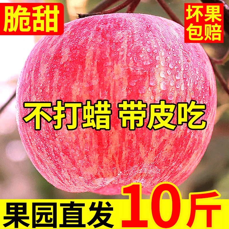 Erdie Shaanxi Red Fuji Apple Fresh Fruit 10kg Rock Candy Heart Seasonal Ugly Apple Seasonal Fruit Crisp Sweet Whole Box Selected 3kg Pack Net Weight 2.8kg 70-75mm