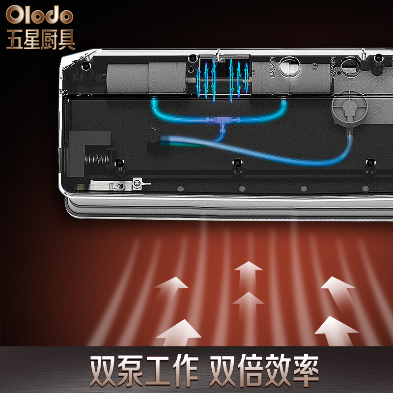 Olodo German vacuum packaging machine household commercial vacuum machine wet and dry vacuum sealing machine automatic black gold model 30cm dry powder pump + spree