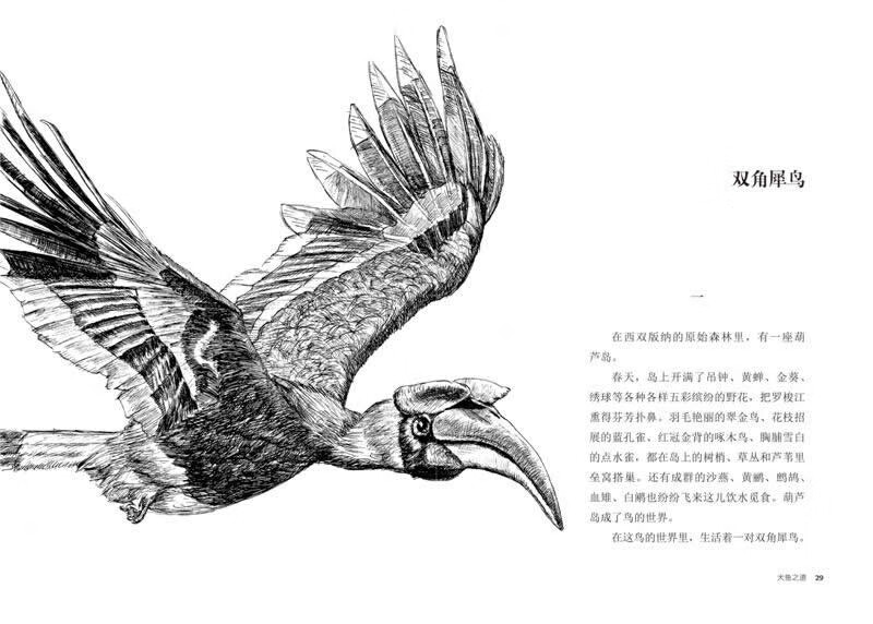 The Way of the Big Fish, upgraded version, animal novel king Shen Shixi's collection of books, children's literature extracurricular books, extracurricular reading, summer reading, extracurricular books