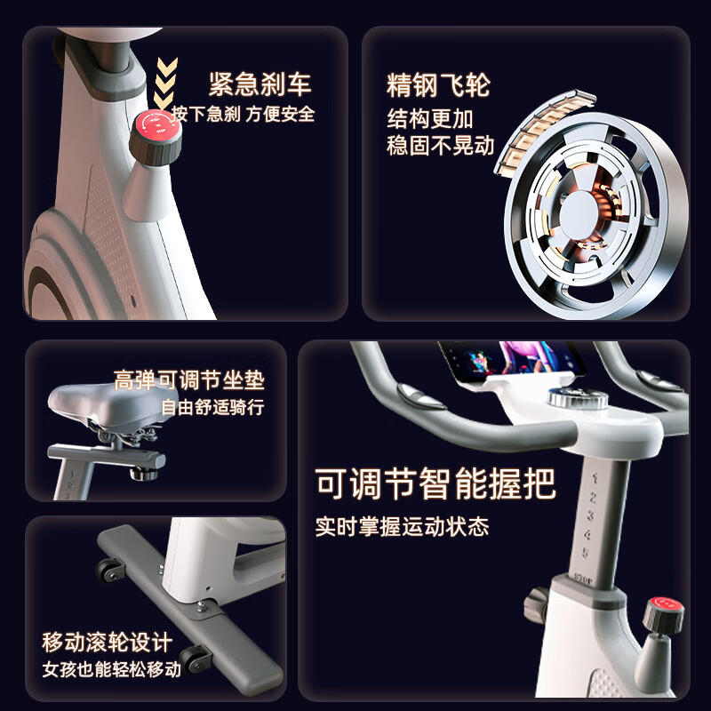 Langwei Spinning Bike Home Fitness Equipment Ultra-Quiet Indoor Sports Bike Magnetic Control Gym Use Ordinary Mechanical Model-Manual Magnetic Control (Elegant White)