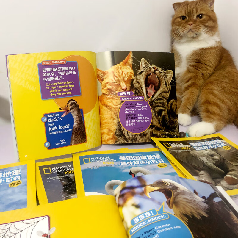 National Geographic Interesting Encyclopedia of the United States Chinese and English bilingual readers (set of 6 volumes in total) Book starting season Book starting season Good gifts Recommended book list for primary school students The transition from primary school to secondary school The transition from primary school to junior high school