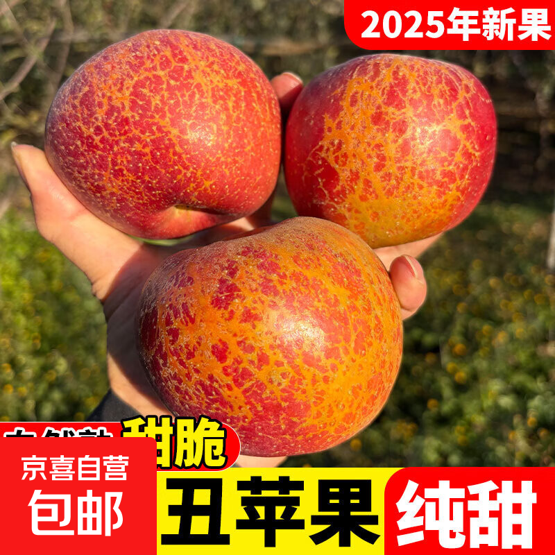 25-year-old Yunnan Zhaotong Ugly Apple Rock Candy Heart Authentic Gift Box Fresh Apple Fruit Seasonal Whole Box Flat Fruit 9 Jin Packed Large Fruit (80-90mm)