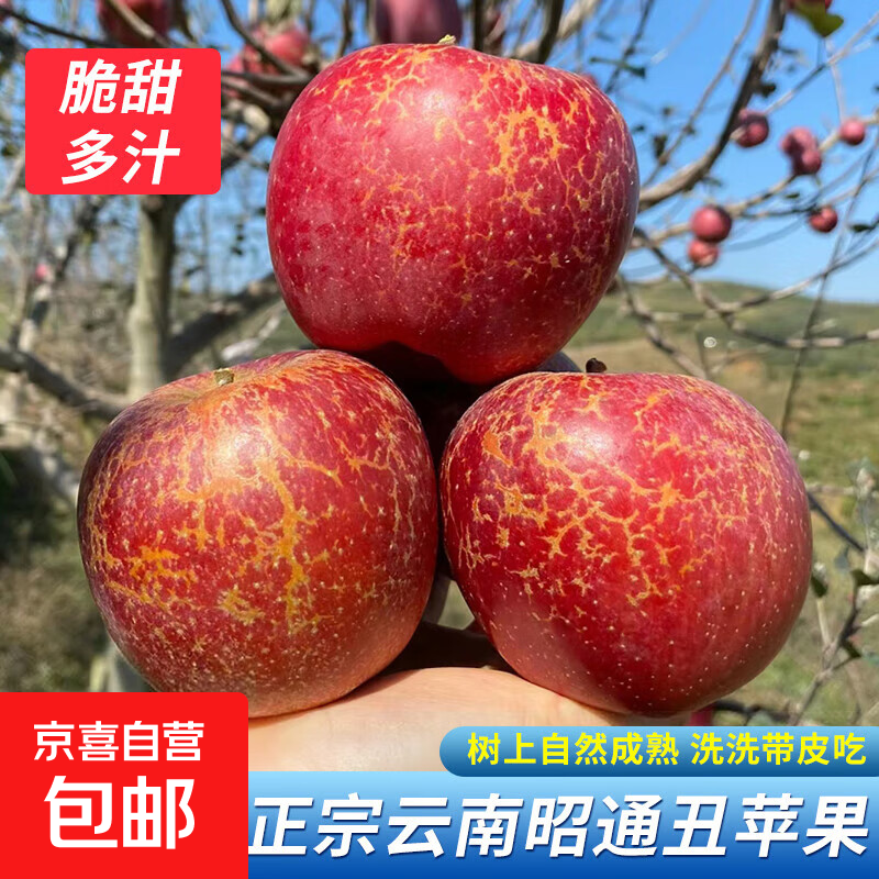Yunnan Zhaotong rock candy heart ugly apple fruit fresh seasonal whole box Fuji red dew apple crispy sweet Mid-Autumn Festival selected fruit single fruit 50-60mm 2 catties trial pack