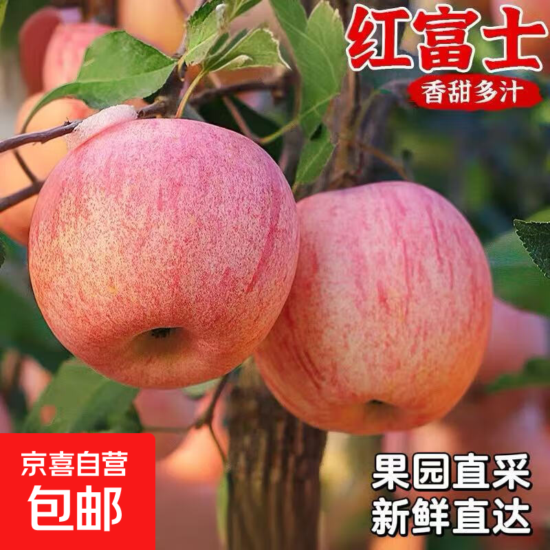 Authentic Shandong Red Fuji Apple Ugly Apple Fresh Fruit Seasonal Crisp Sweet Rock Candy Heart Striped Apple 2kg in Box