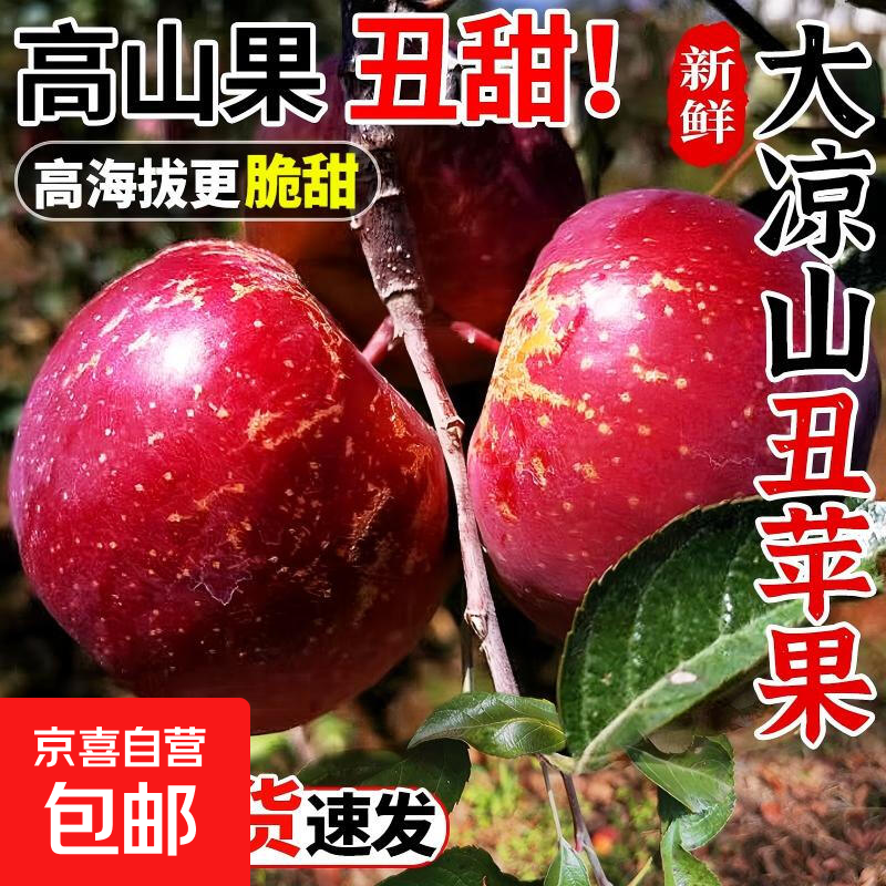 Sichuan Apple Crisp Sweet Rock Candy Heart Fuji Apple Fruit Fresh Salt Source Chou Apple Fresh 1kg 60-70mm+ Try it out
