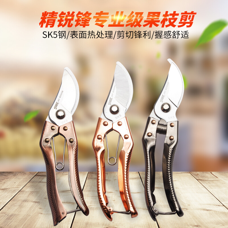 Jingruifeng gardening shears, fruit tree tools, pruning shears, thick branch shears, flower pruning scissors, flower and tree pruning tools, household multifunctional, bronze handle