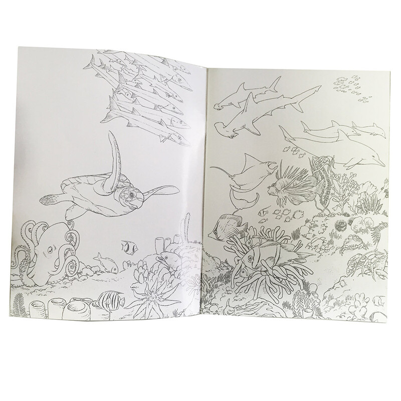 British Concentration Training Encyclopedia Cultivating concentration + observation + learning popular science knowledge (set of 4 volumes in total)