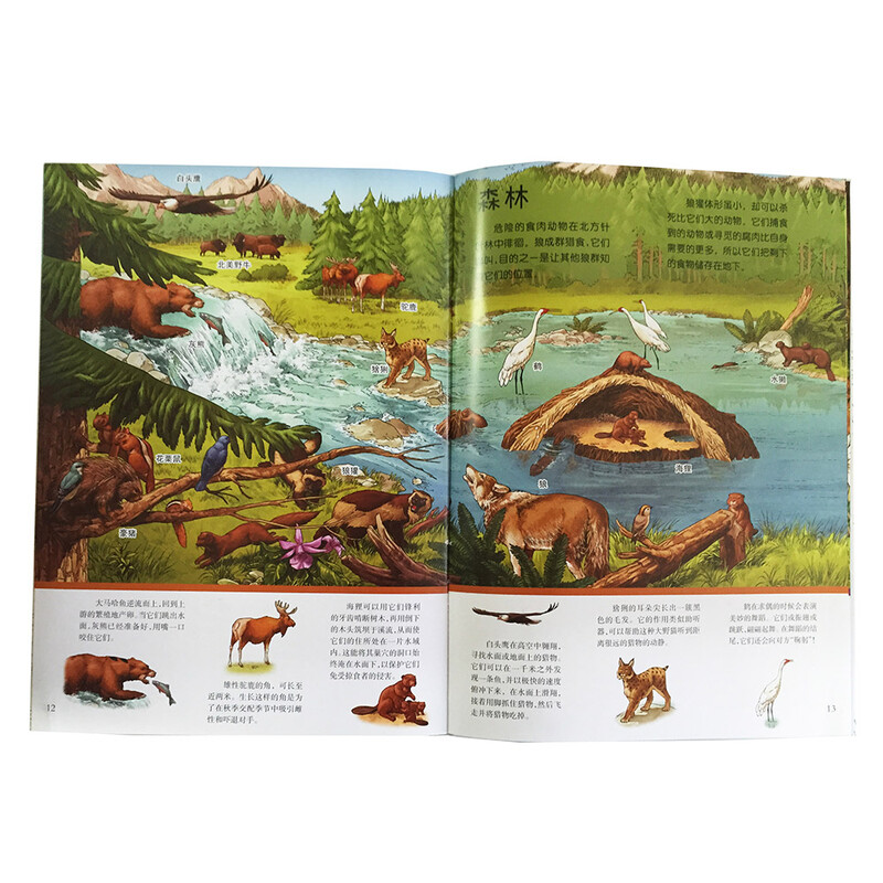 British Concentration Training Encyclopedia Cultivating concentration + observation + learning popular science knowledge (set of 4 volumes in total)