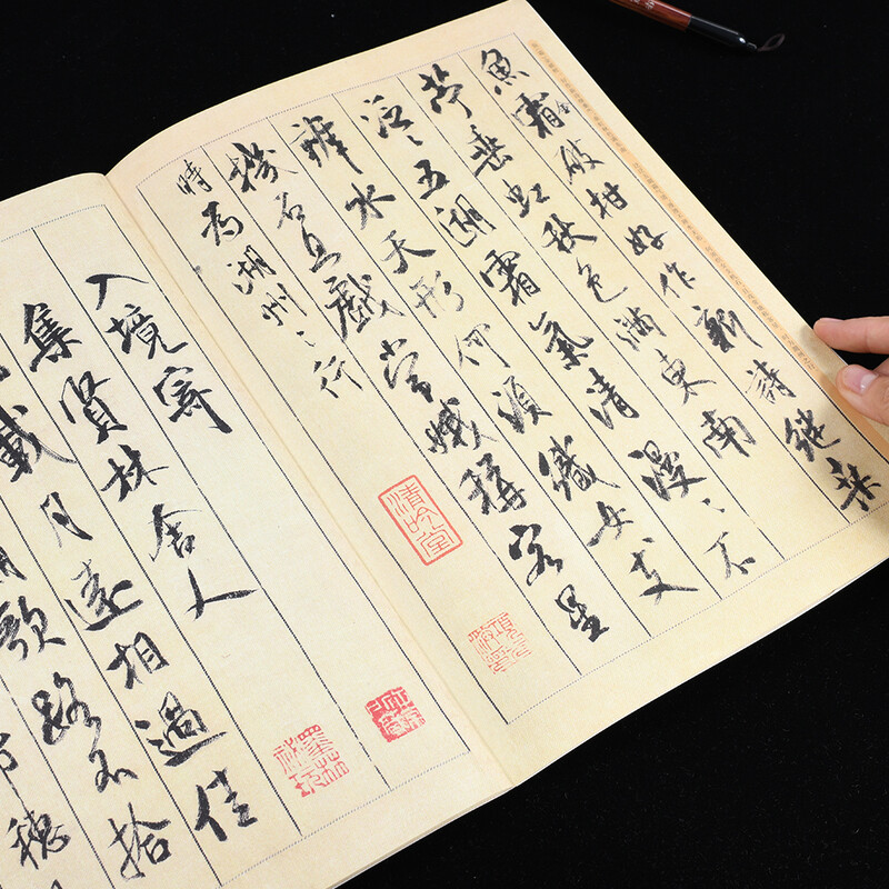 Ten Thousand Volumes of China, Excellent Collection of Chinese Calligraphy Hand-written on Steles and Inscriptions, Running Script Mi Fushu Su Tiao Tiao Xi Poems, Original Brush Calligraphy Rubbings and Copies, Copying by Adult Students, Simplified Chinese Marginal Notes